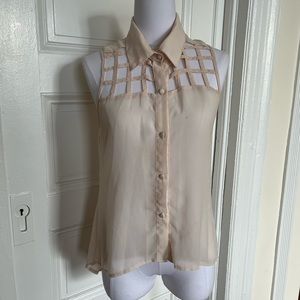 sheer professional blouse